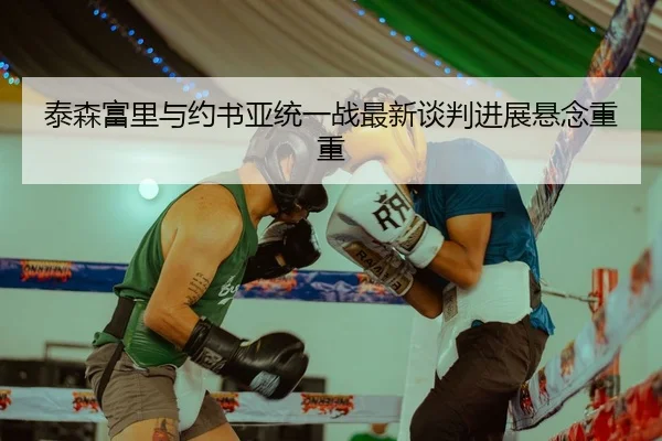 泰森富里与约书亚统一战最新谈判进展悬念重重