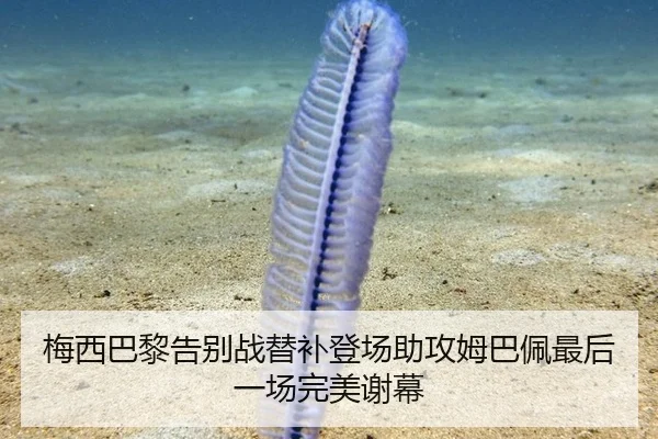 梅西巴黎告别战替补登场助攻姆巴佩最后一场完美谢幕